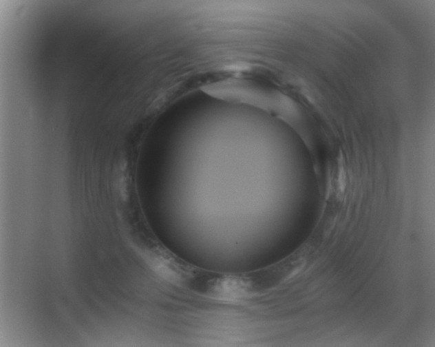 X0000069830223200605191148