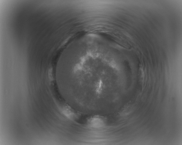 X0000069830224200605191148