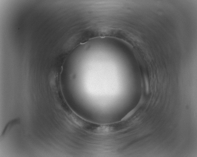 X0000069830225200605191148