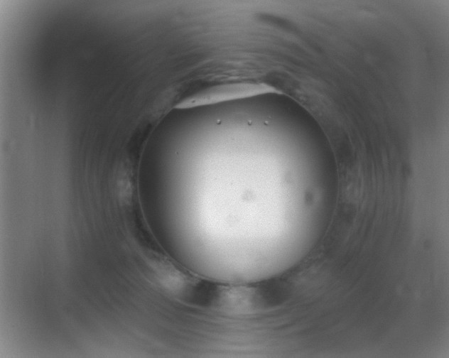 X0000069830226200605191148