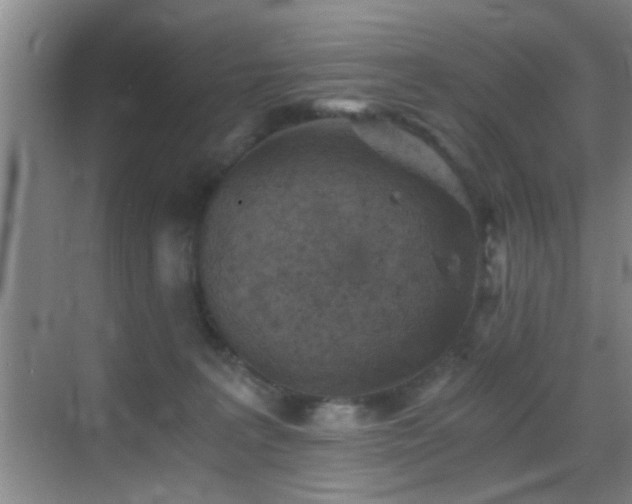 X0000069830227200605191148