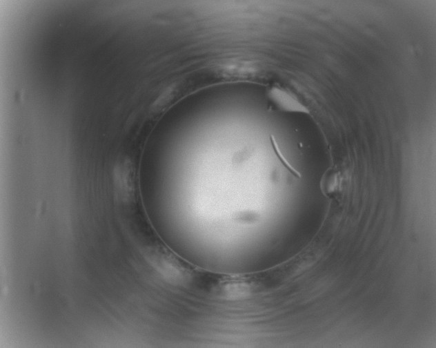 X0000069830228200605191148