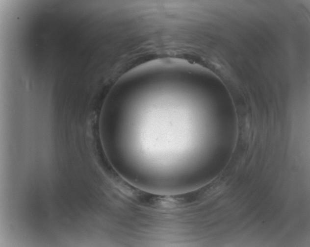 X0000069830229200605191148