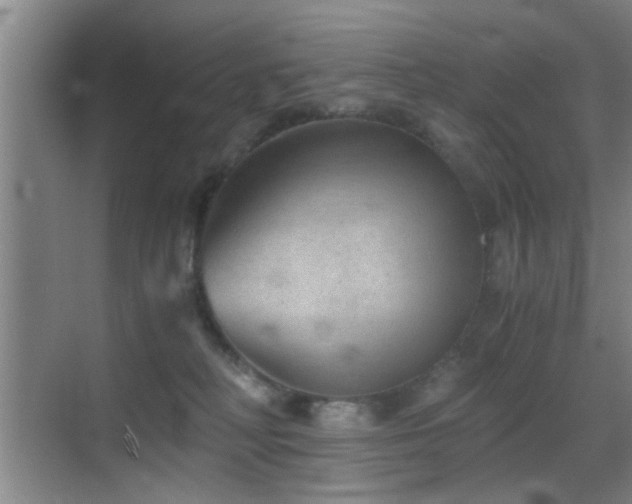 X0000069830230200605191148