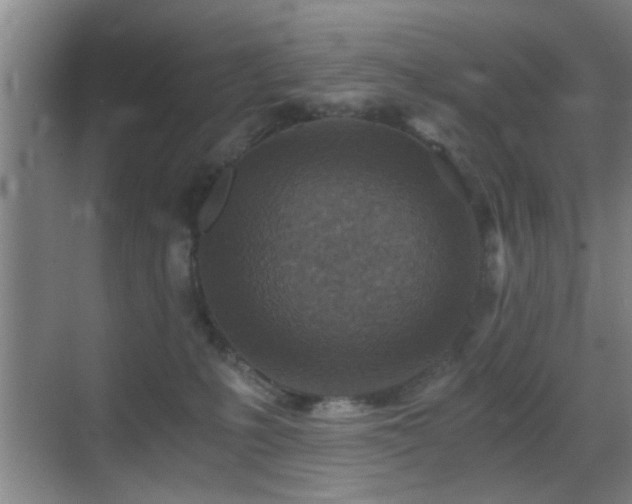 X0000069830231200605191148