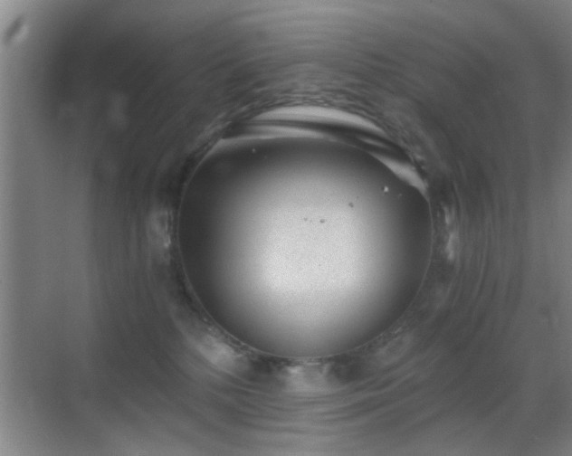 X0000069830232200605191148