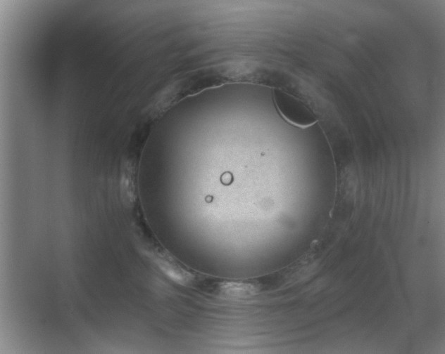 X0000069830234200605191148