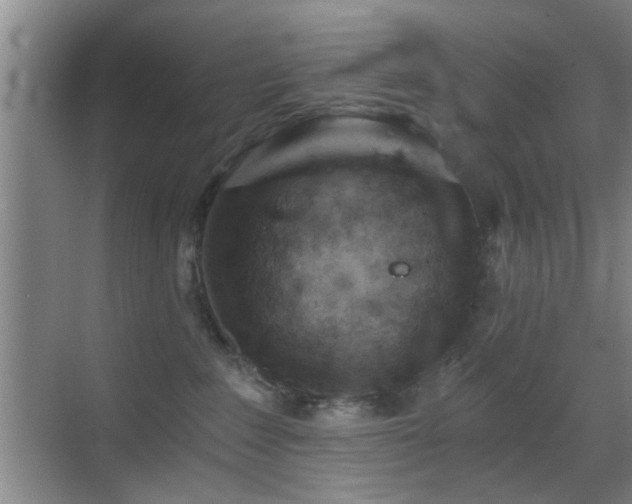 X0000069830235200605191148