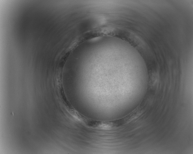 X0000069830236200605191148