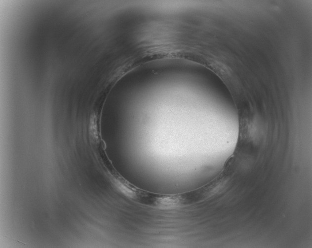 X0000069830238200605191148