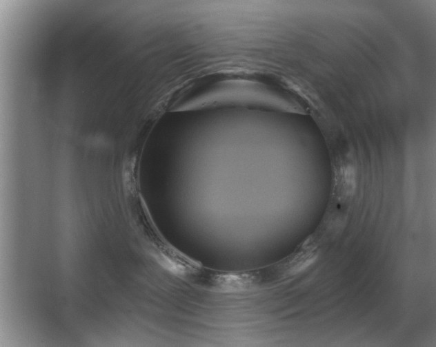 X0000069830239200605191148