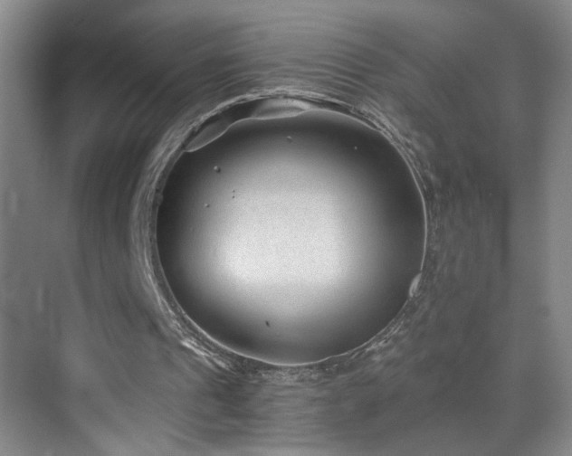 X0000069830241200605191147