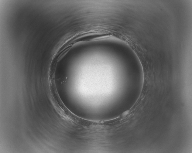 X0000069830242200605191147