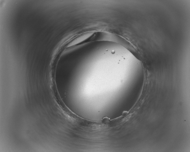 X0000069830245200605191147