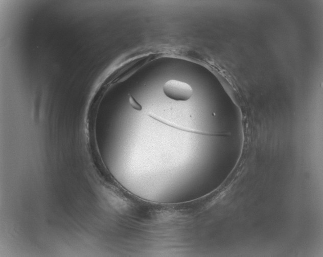 X0000069830246200605191147