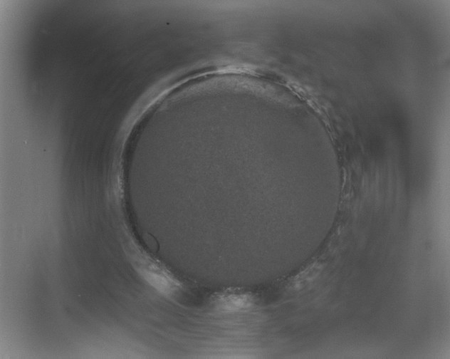 X0000069830247200605191147