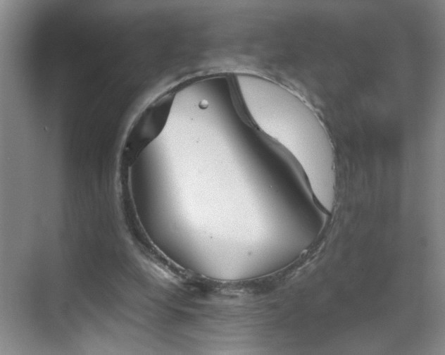 X0000069830248200605191147