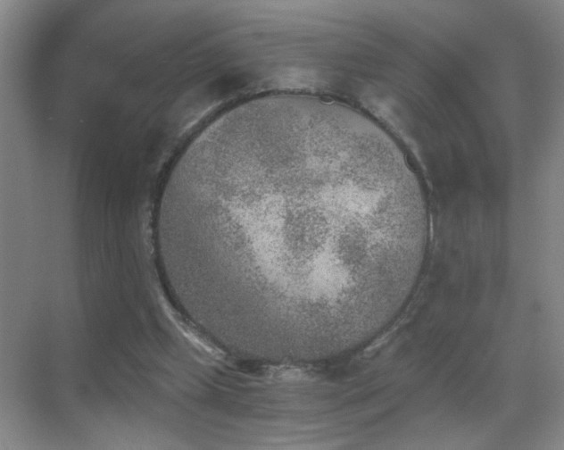 X0000069830249200605191147