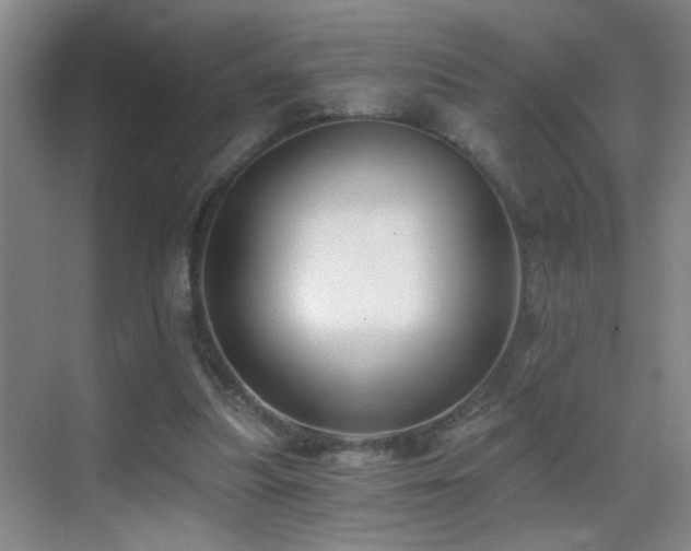 X0000069830251200605191147