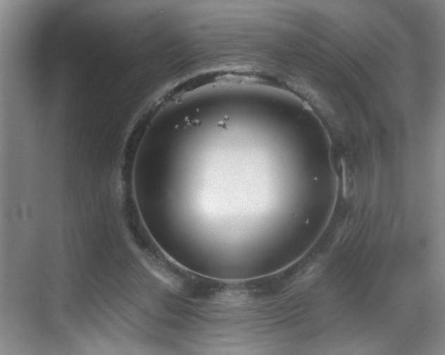 X0000069830252200605191147