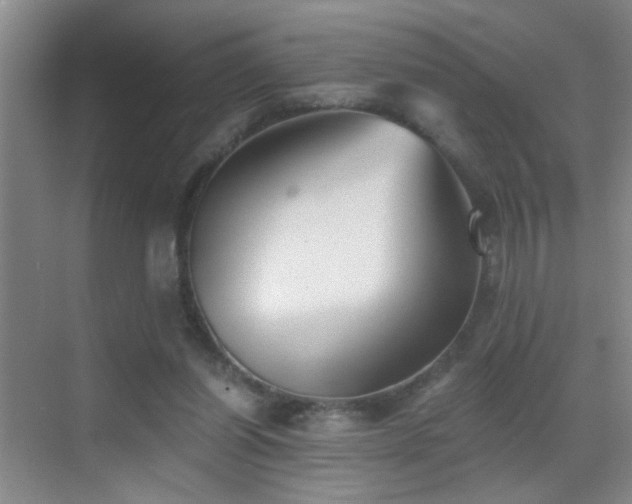 X0000069830254200605191147