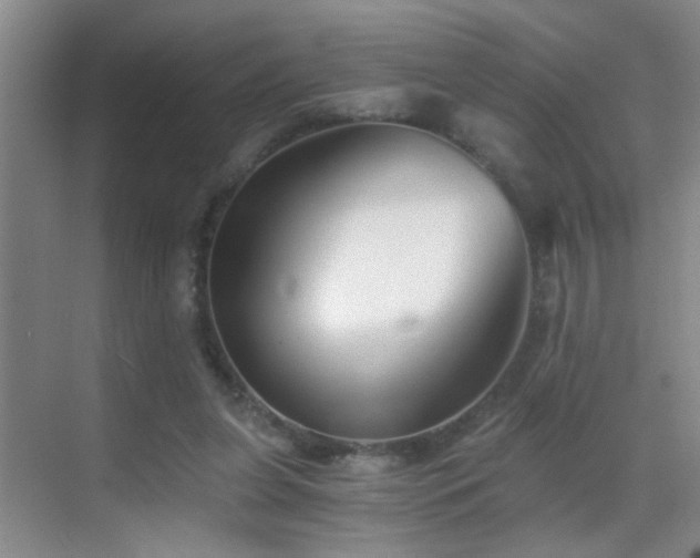 X0000069830255200605191147