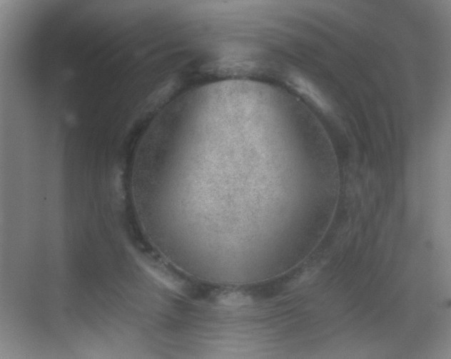 X0000069830258200605191147