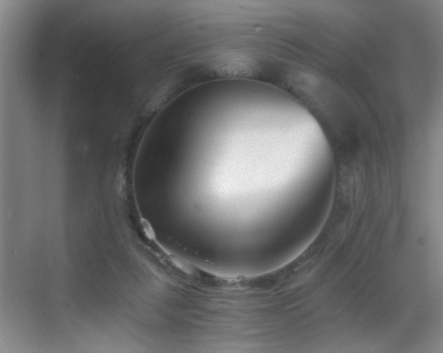 X0000069830259200605191147