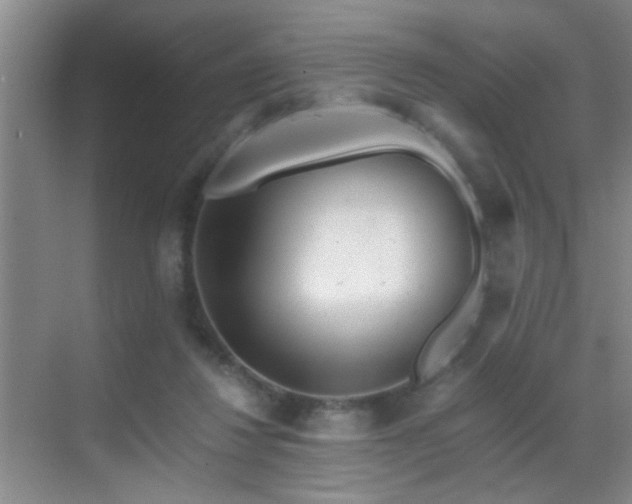 X0000069830260200605191147