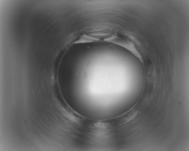 X0000069830261200605191147