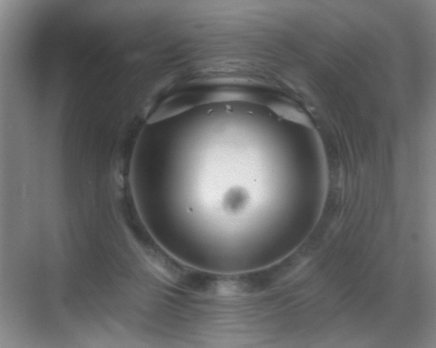 X0000069830264200605191147