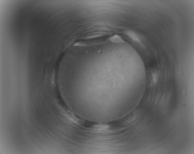 X0000069830266200605191147