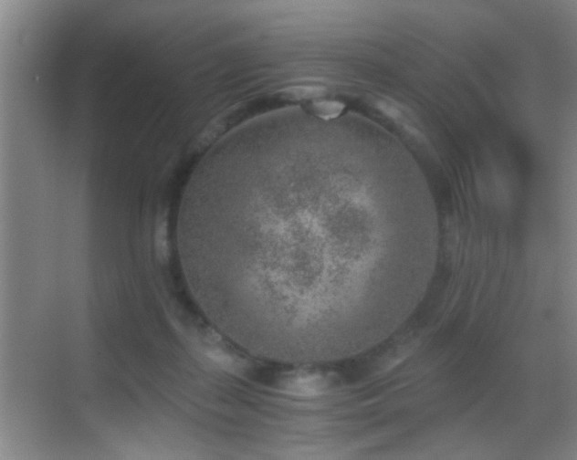 X0000069830267200605191147