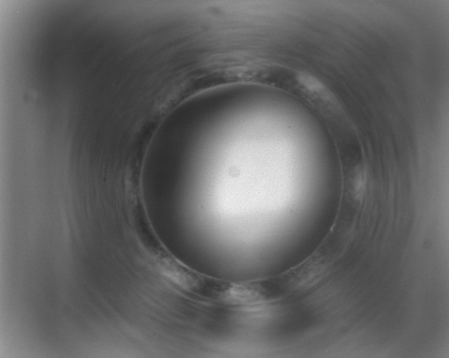 X0000069830270200605191147