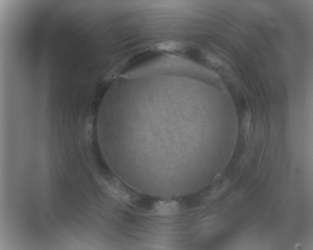 X0000069830271200605191147