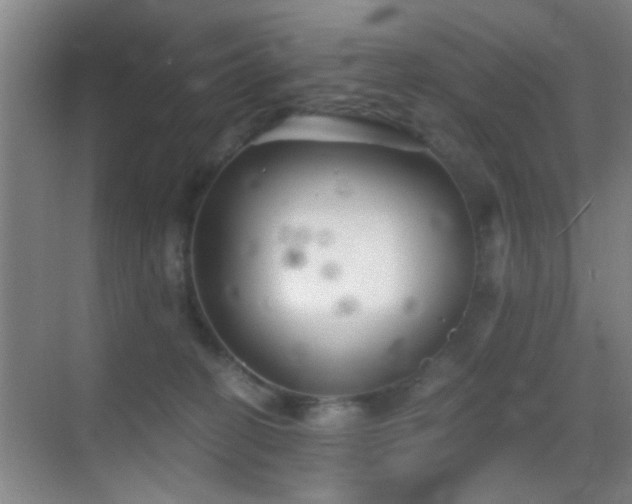 X0000069830274200605191147