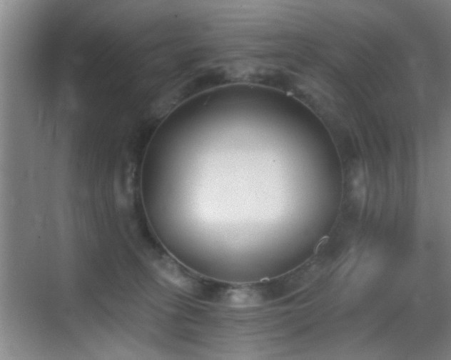 X0000069830275200605191147