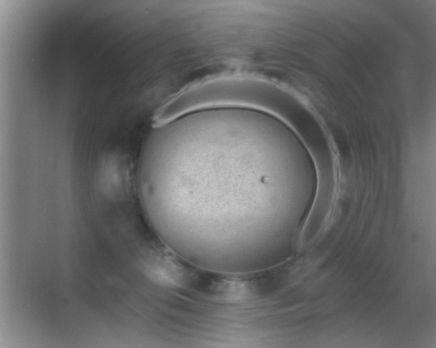 X0000069830276200605191147