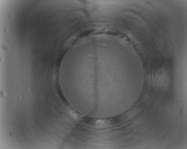 X0000069830277200605191147