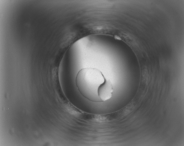 X0000069830278200605191147