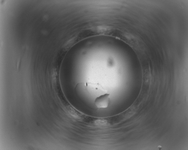 X0000069830279200605191147