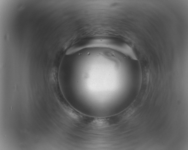 X0000069830280200605191148