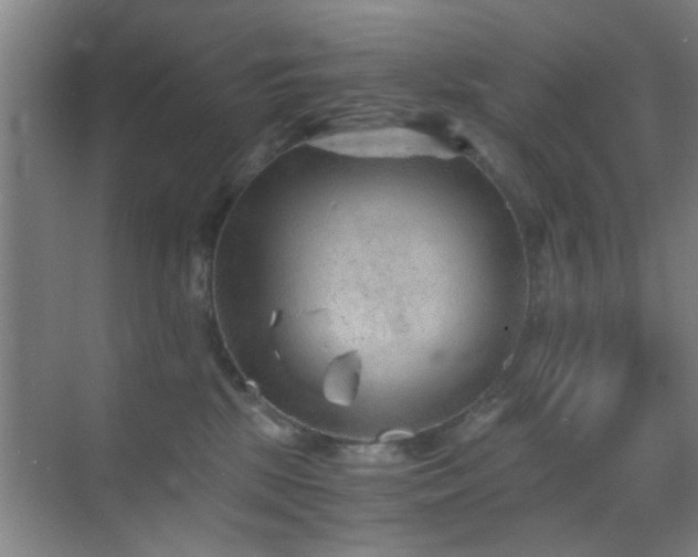 X0000069830281200605191148