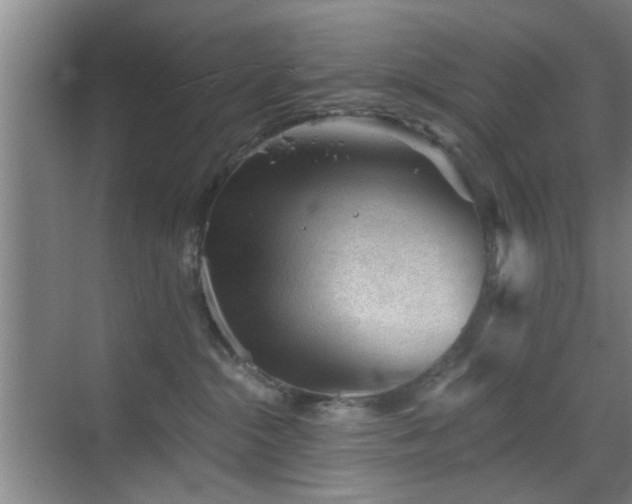 X0000069830284200605191148