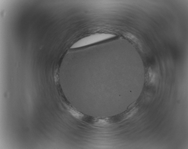 X0000069830285200605191148