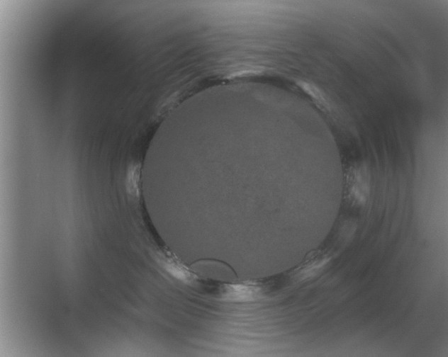 X0000069830286200605191148