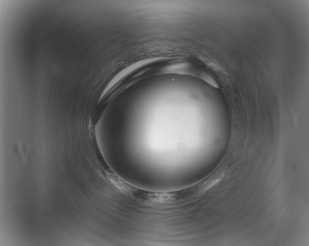 X0000069830288200605191148