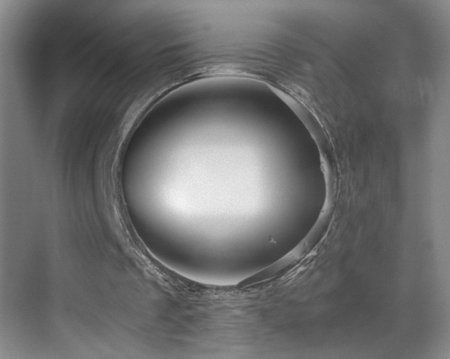 X0000069830289200605191147