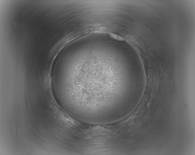 X0000069830290200605191147