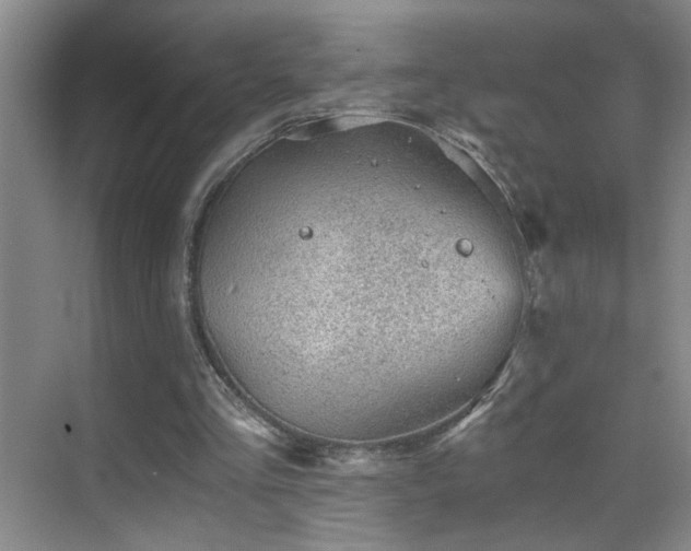 X0000069830293200605191147